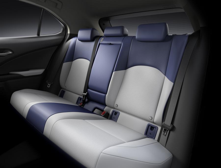 Интерьер Lexus UX300e 2020 года  (WW) (фото 15 из 62)